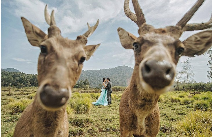 40 фотодоказательств того, что свадьба — это всегда весело